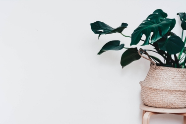 6 tips voor het (her)inrichten van een kleine woning