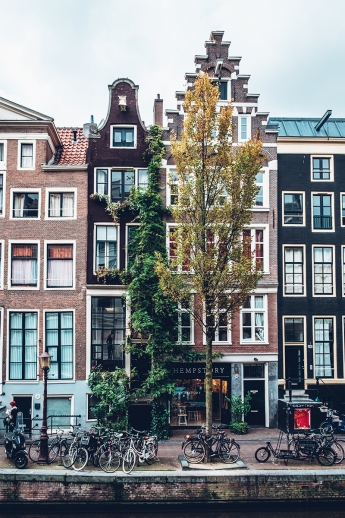 Real Estate Agent Amsterdam