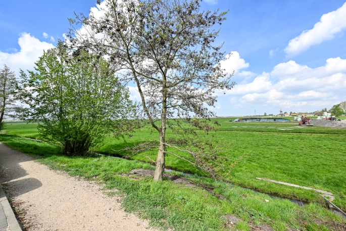 Lepelaarstraat 18, 1551 GE, Westzaan